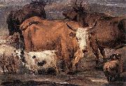 Nicolaes Pietersz. Berchem Animal Study oil painting on canvas